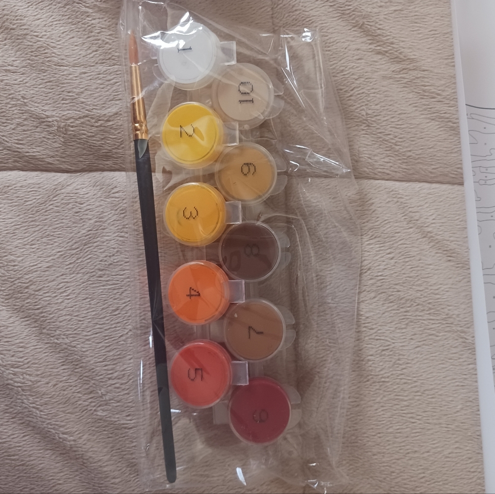 Paint By Number Set - Picture 2 of 5